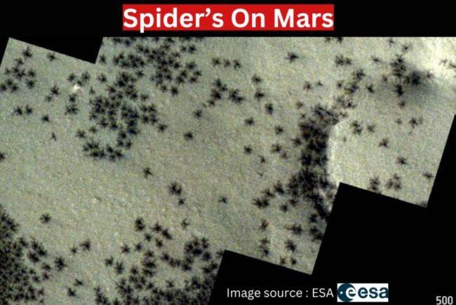 'spiders' on mars