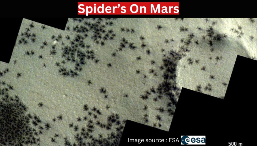 'spiders' on mars